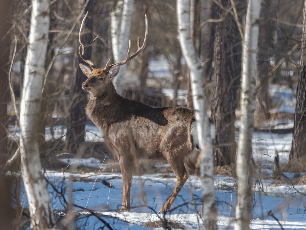 Photograph by Сергей Немцев