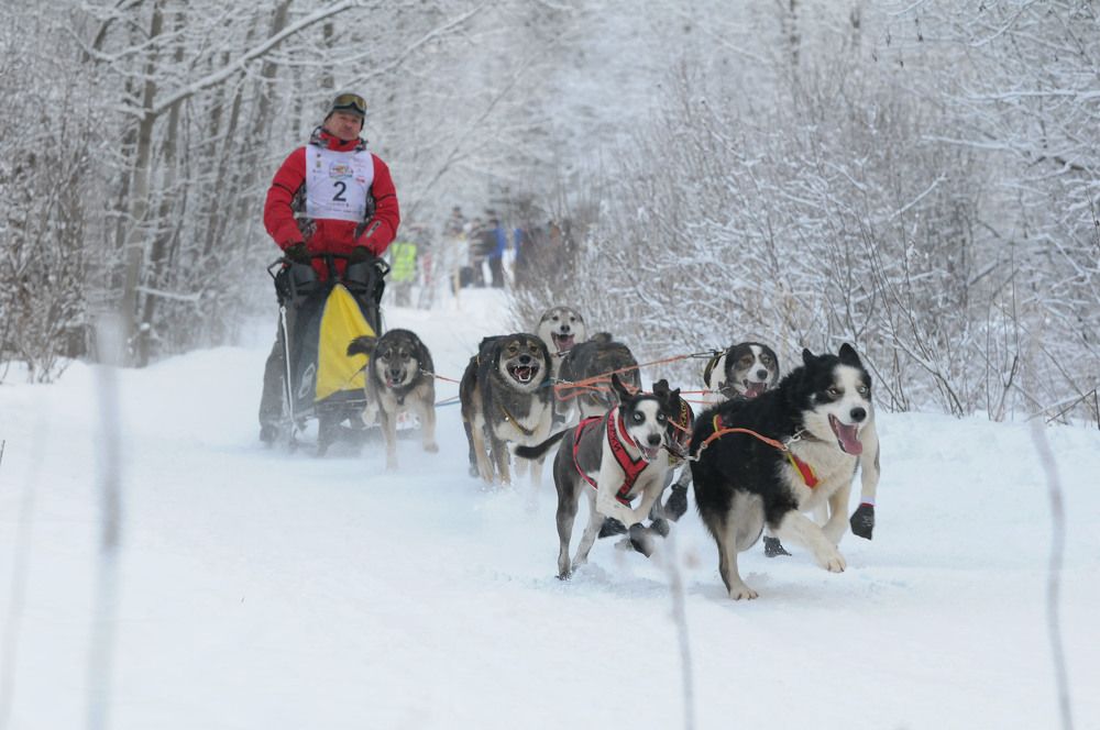 Photograph by Геннадий Тикка