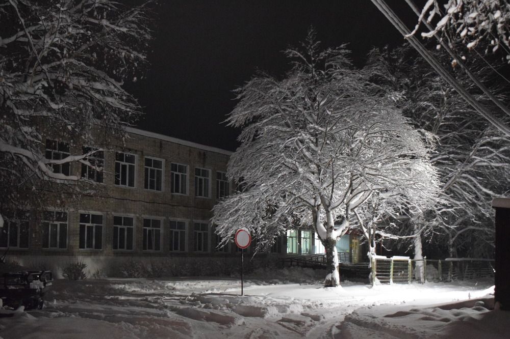 Photograph by Ольга Одинцова