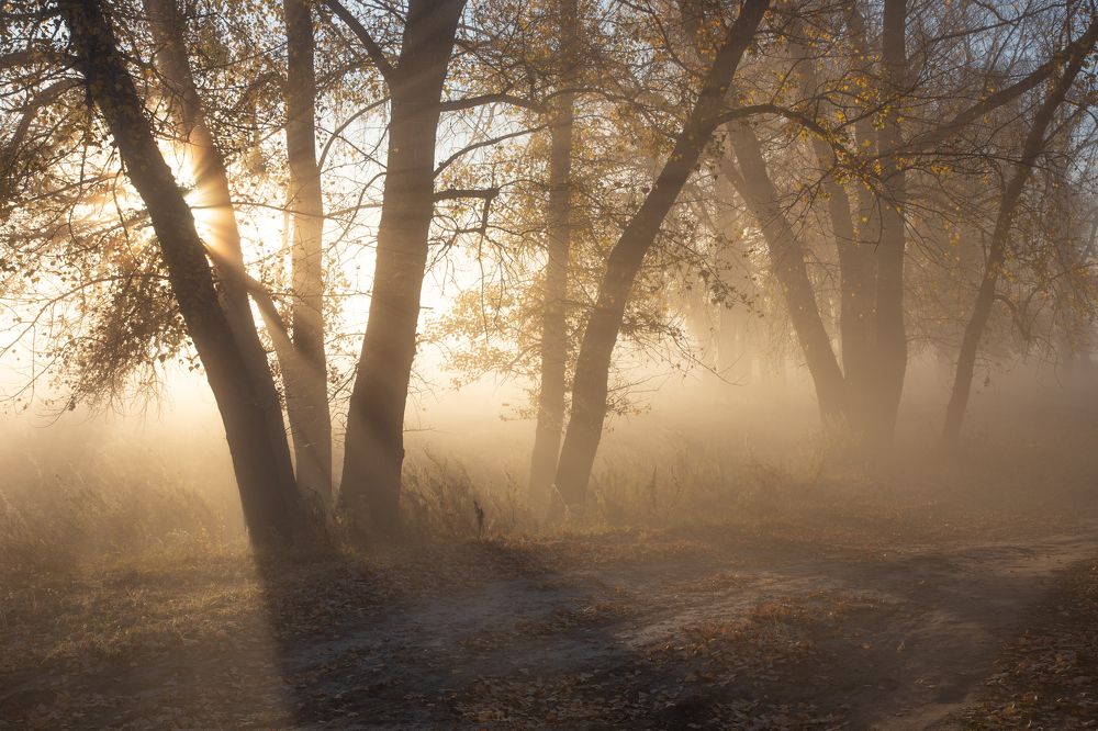 Photograph by KateAkh