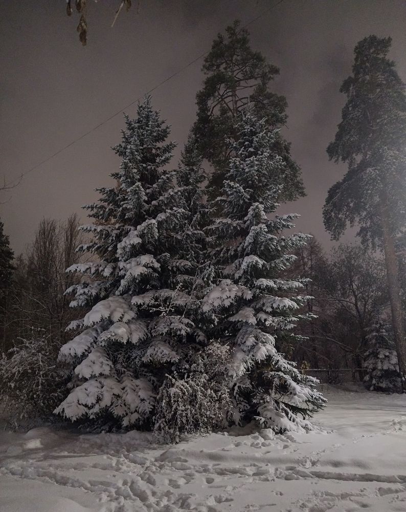 Photograph by Елена Харитонович