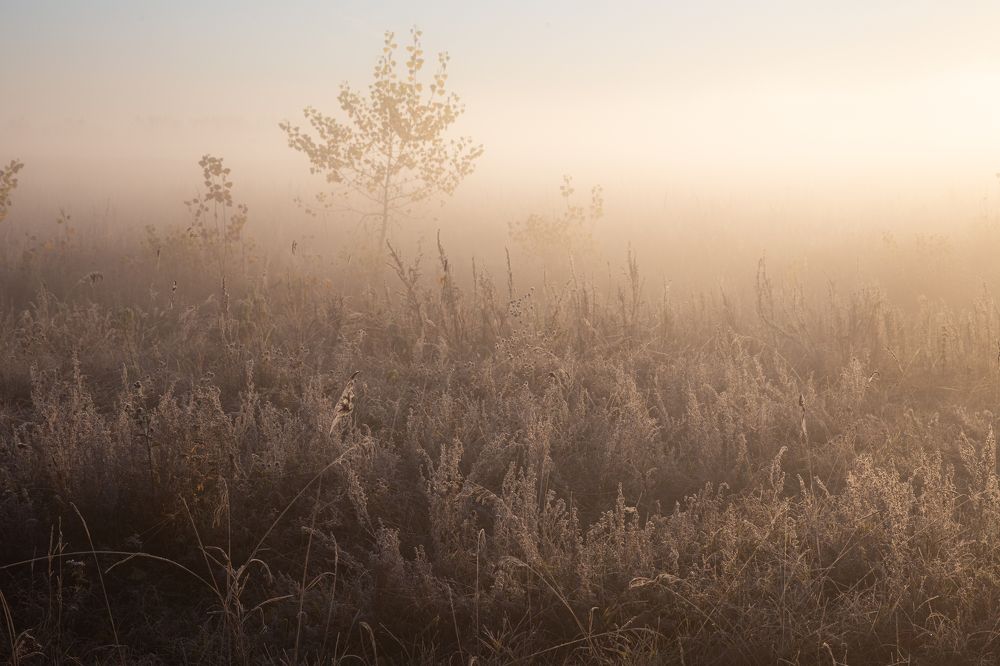 Photograph by KateAkh