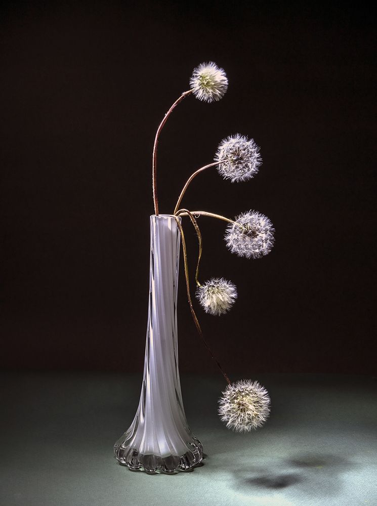 Photograph by Ольга Дядченко