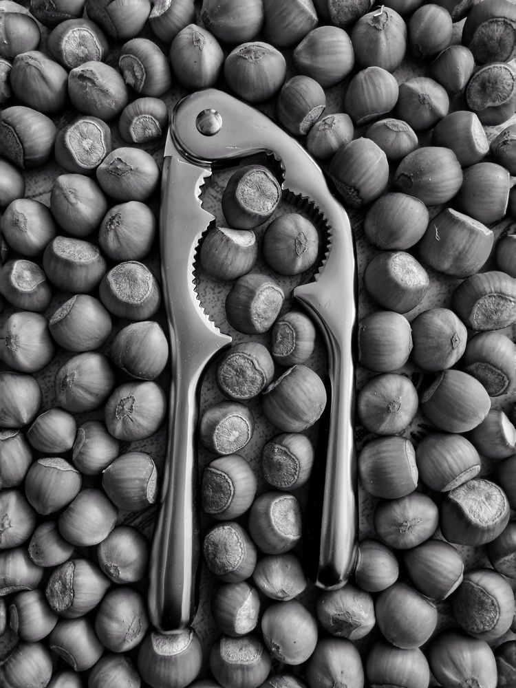 Фотография автора Zahra Seyedmorti