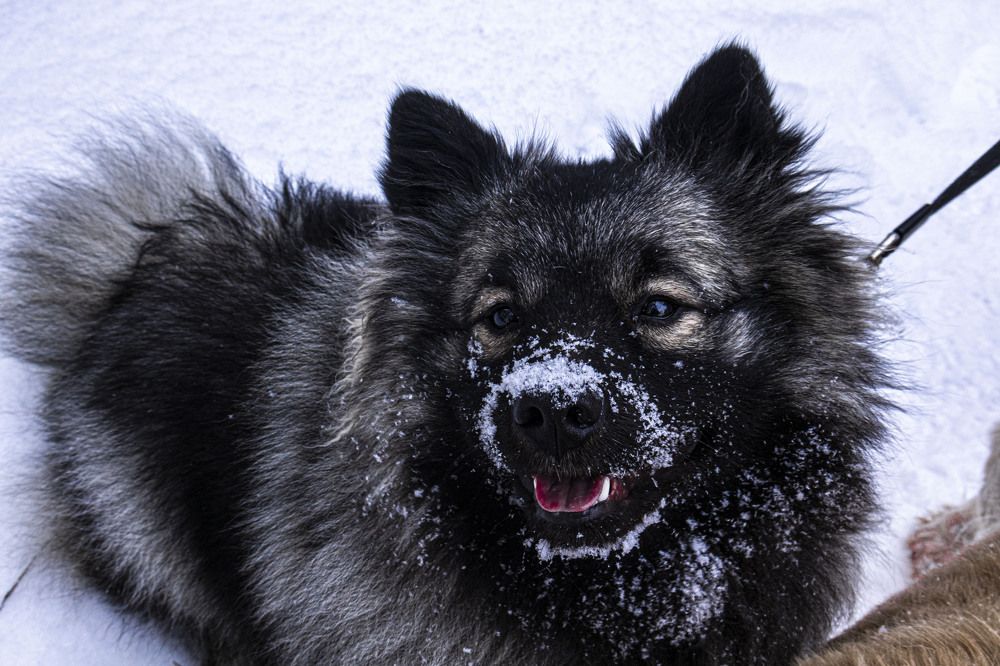 Фотография автора Екатерина