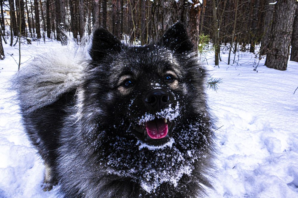 Фотография автора Екатерина