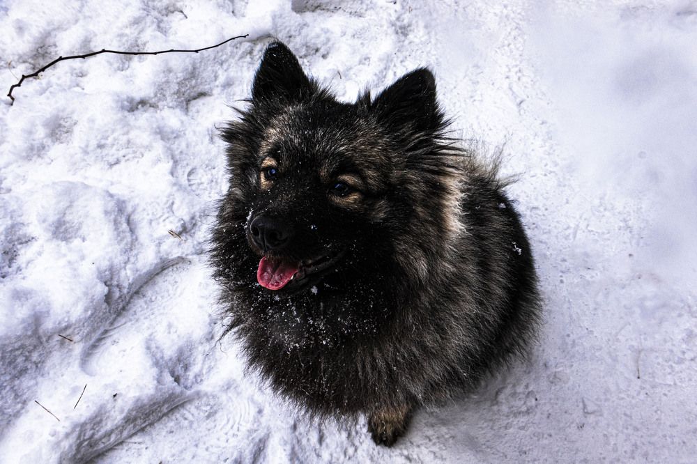 Фотография автора Екатерина