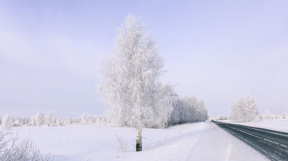 Фотография автора Кушпилева Марина