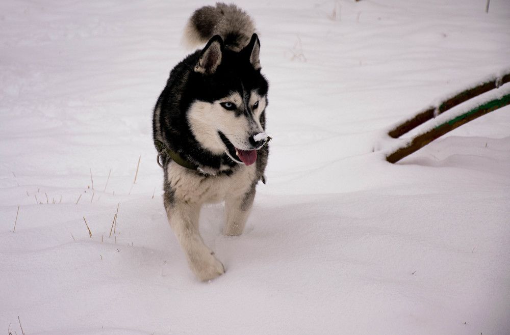 Photograph by Ольга Одинцова