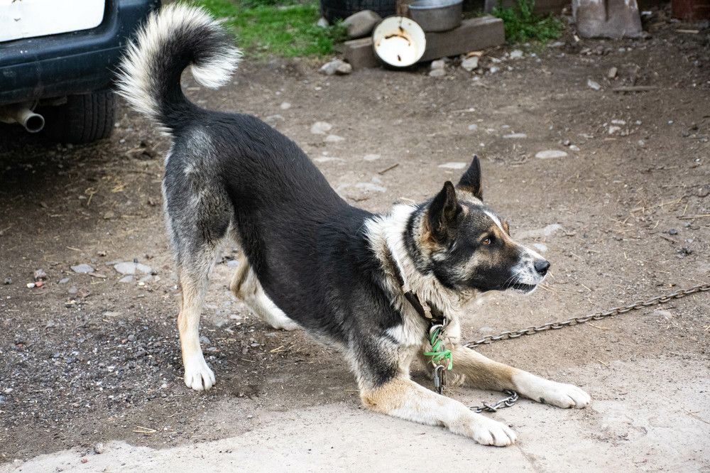 Photograph by Ольга Одинцова