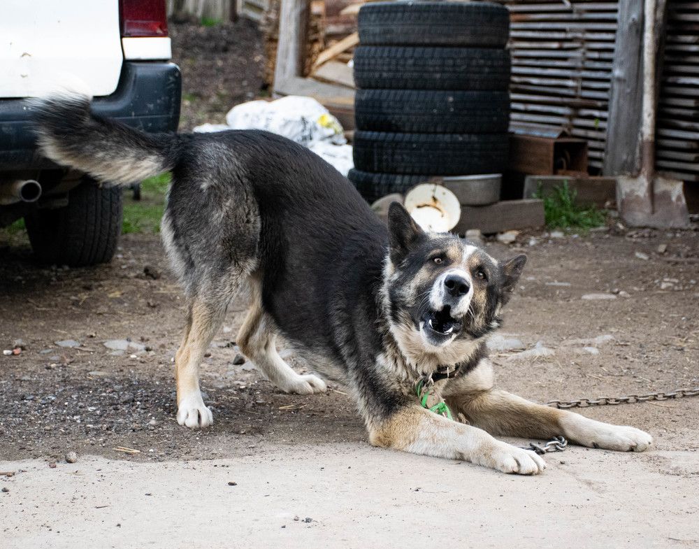 Photograph by Ольга Одинцова