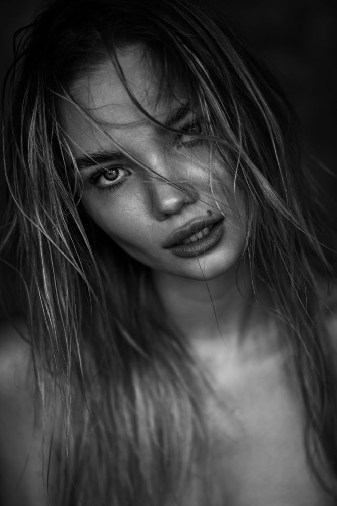 Фотография автора Алексей Чепик