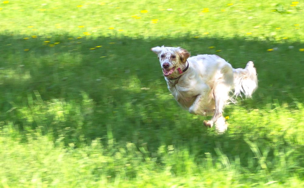 Photograph by Вадим Маслов