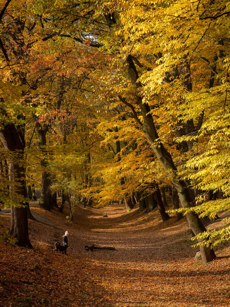 Photograph by Наталья Брюхненко