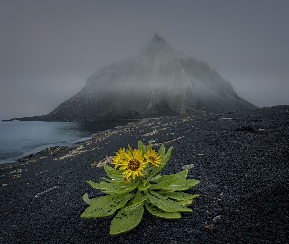 Фотография автора Лаврентьев Александр