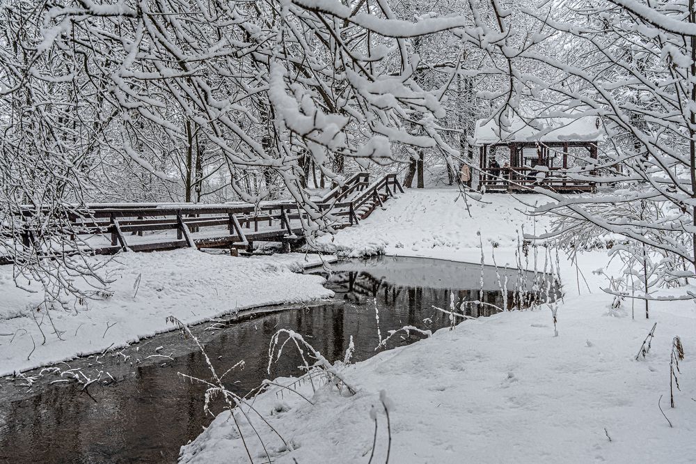 Photograph by Владимир Езеров