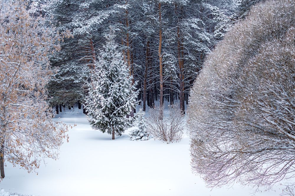 Photograph by Иван Логвинов