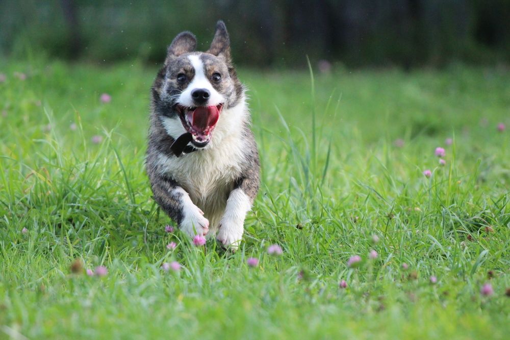 Photograph by Елена Терскова