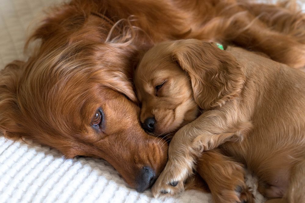 Photograph by Наталья Брюхненко