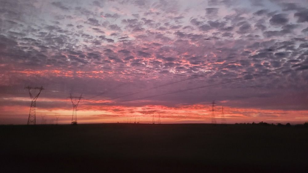 Photograph by Gilson Marcos Ferreira de OLIVEIRA