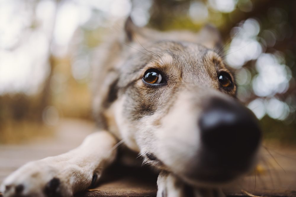 Photograph by Kate Entsi