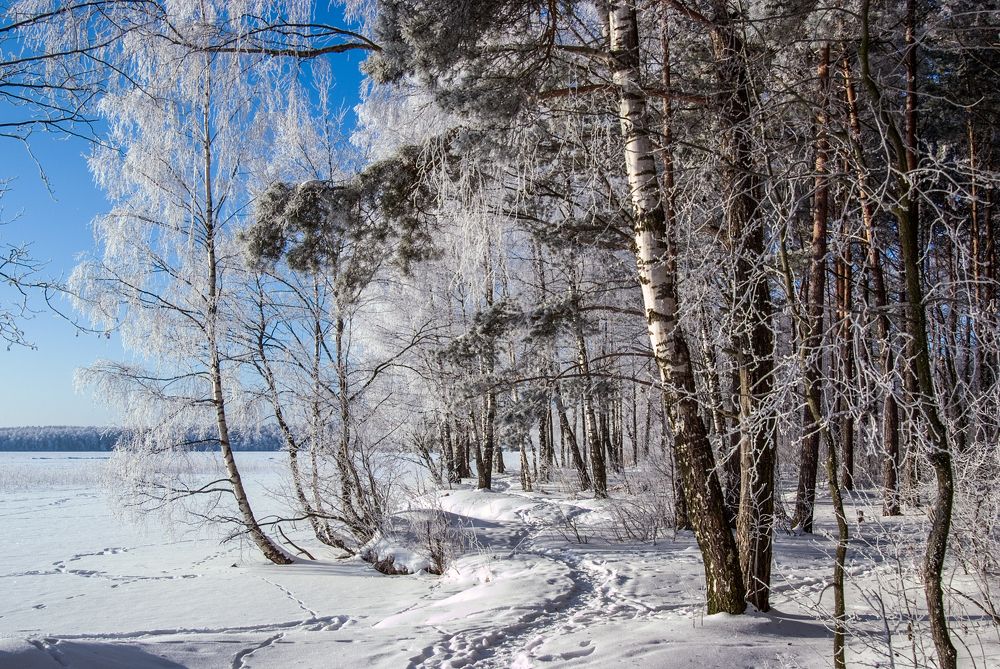 Фотография автора Aleksej Musatov