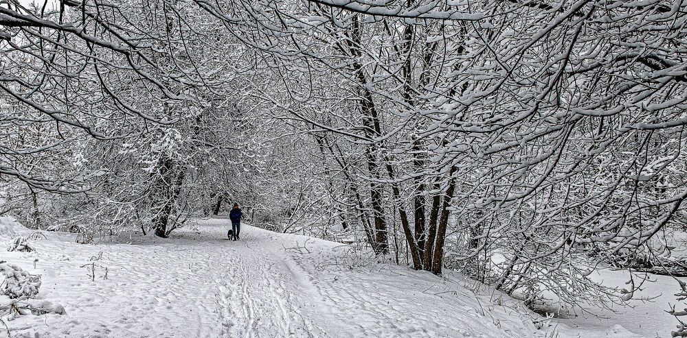 Photograph by Владимир Езеров