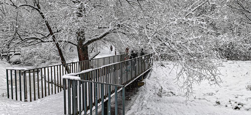 Photograph by Владимир Езеров
