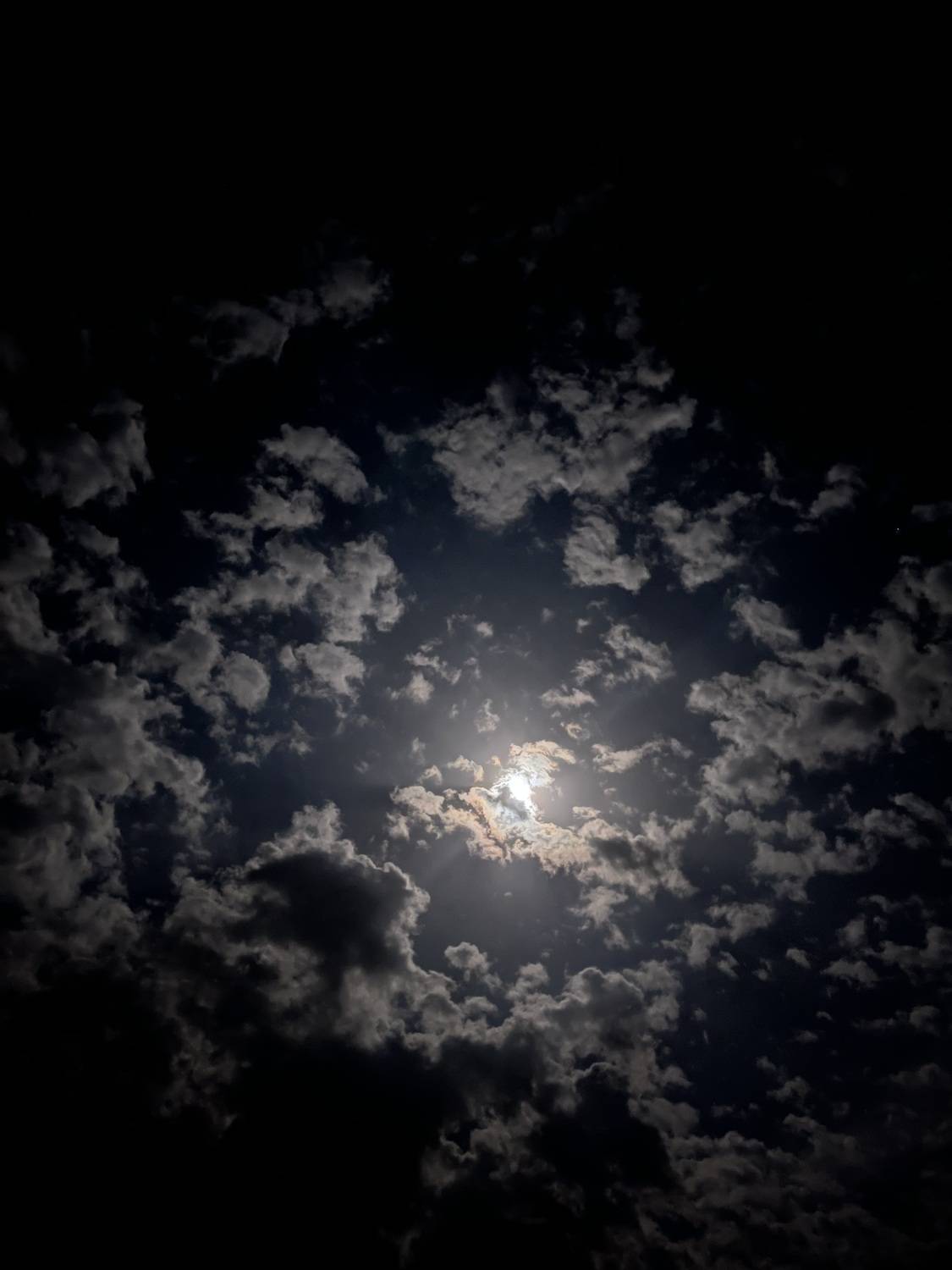 Photo #11699270
