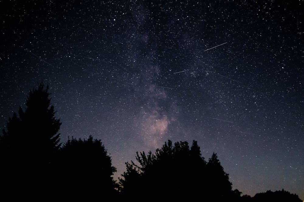 Фотография автора Вера Базилевская