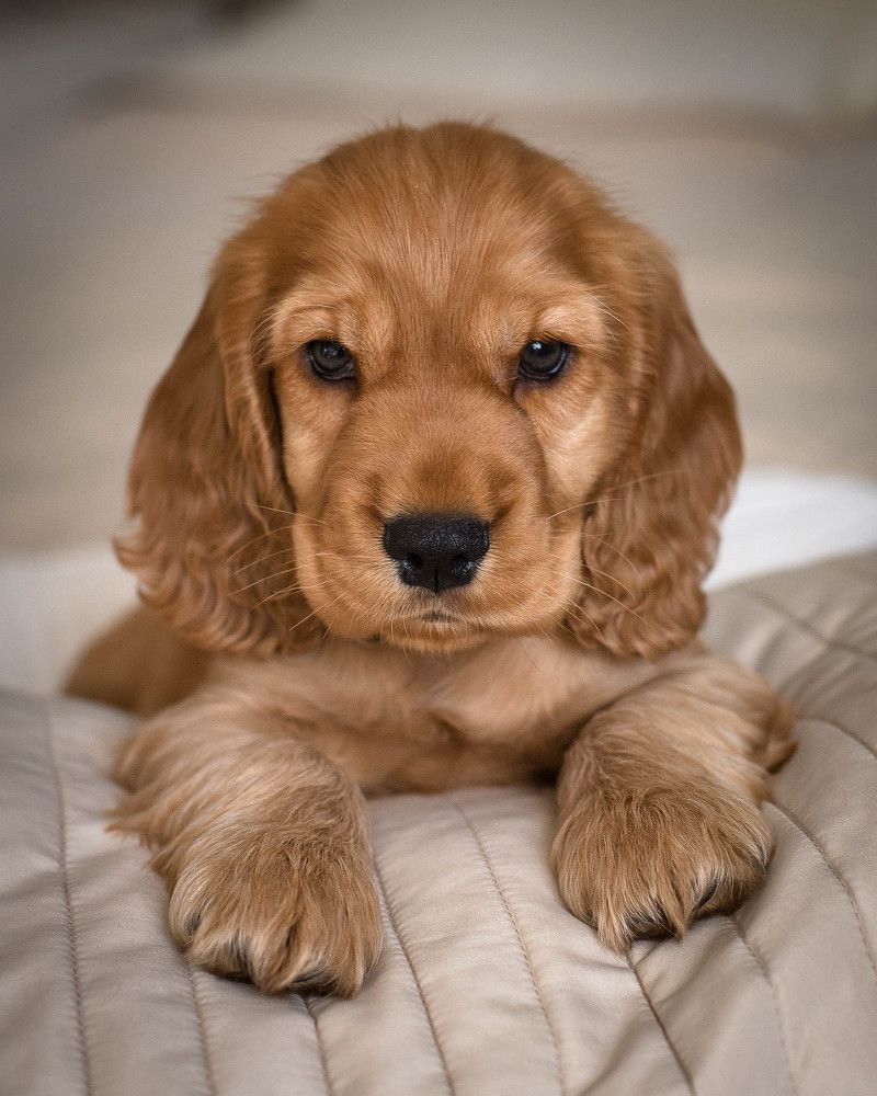 Photograph by Наталья Брюхненко