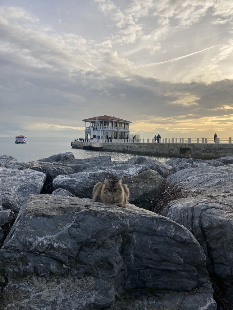 Photograph by Itır Sunalp