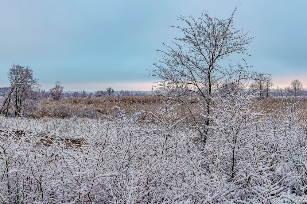 Утром январским..