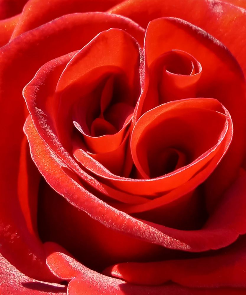 Photograph by Ирина Архипова