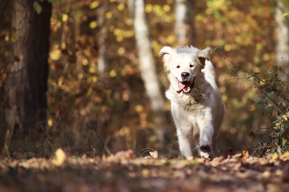 Photograph by Bogdan Tarasov