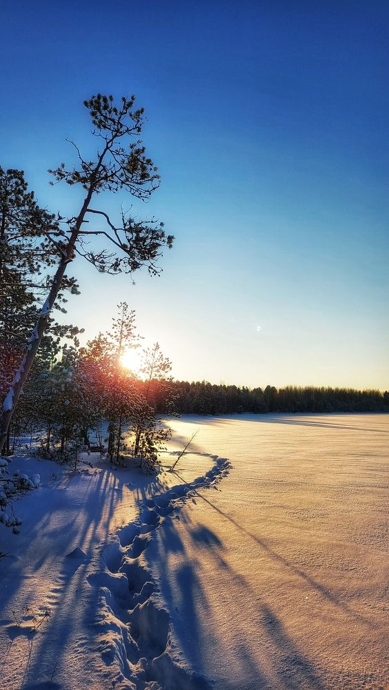 Фотография автора Анастасия Руднева