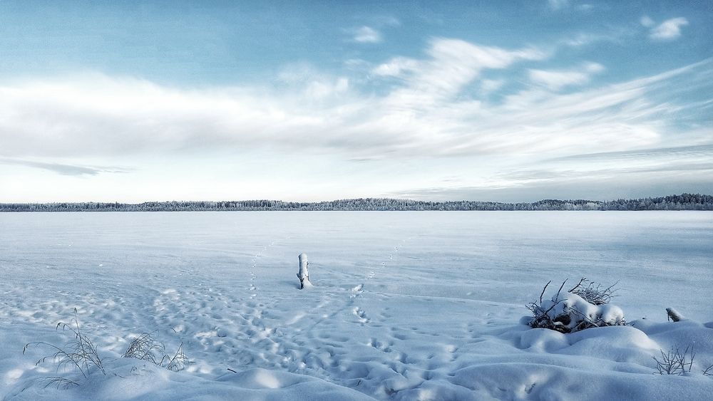 Фотография автора Анастасия Руднева