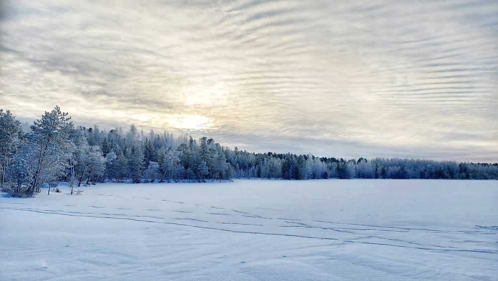 Фотография автора Анастасия Руднева