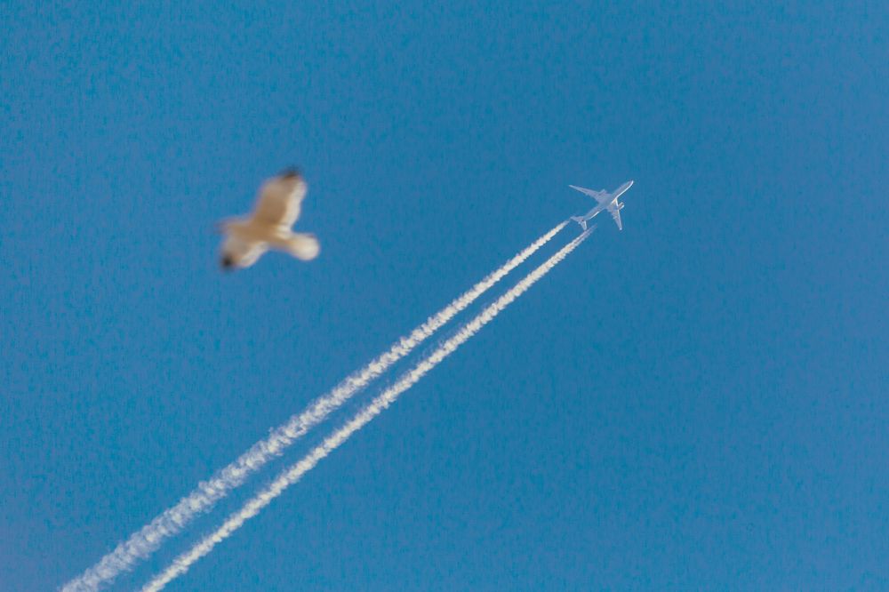 Фотография автора Андрей Колоденков