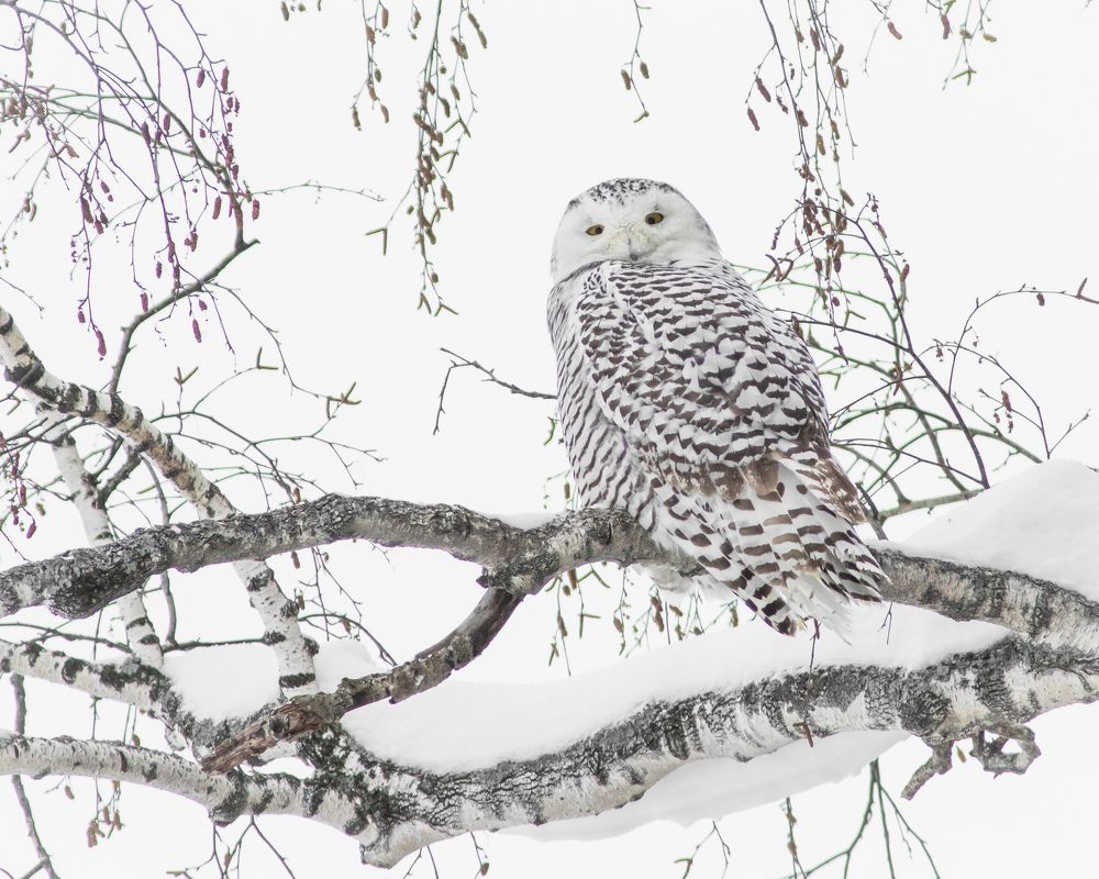 Photograph by Суслов Дмитрий