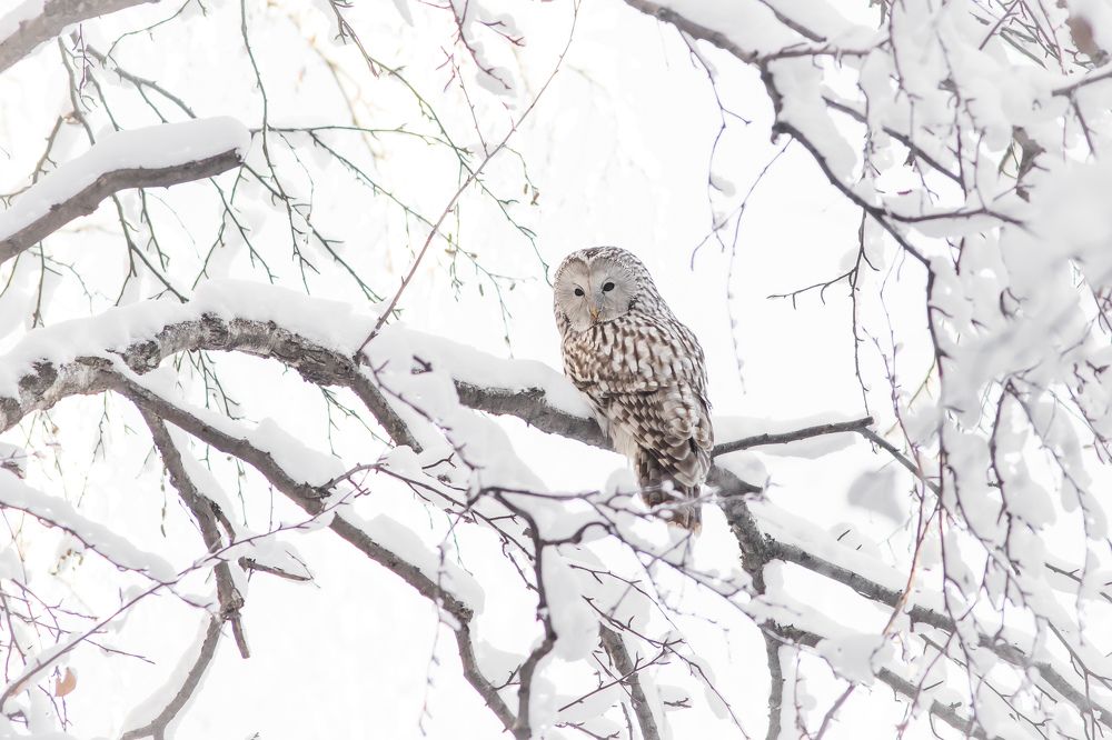 Photograph by Суслов Дмитрий