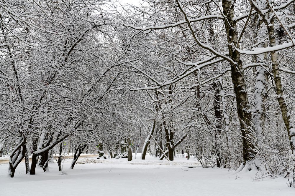 Photograph by Антон Шаркас