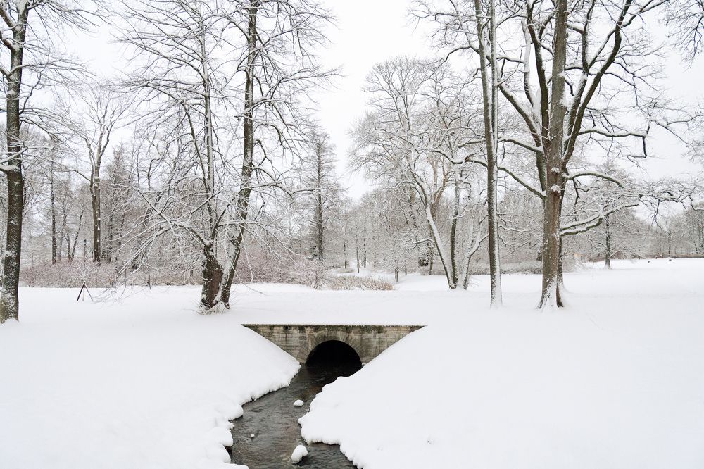 Photograph by Антон Шаркас