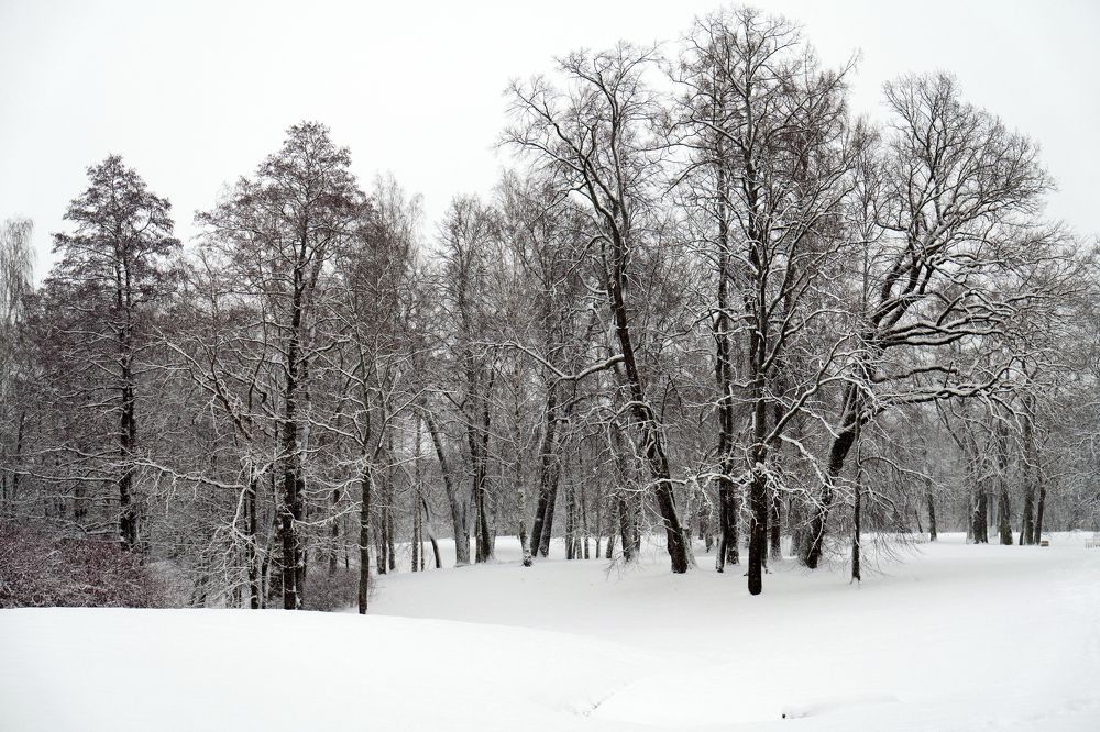 Photograph by Антон Шаркас