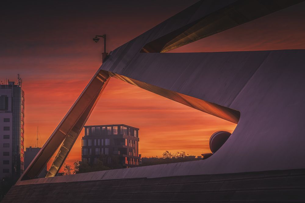 Photograph by Budyta Dariusz