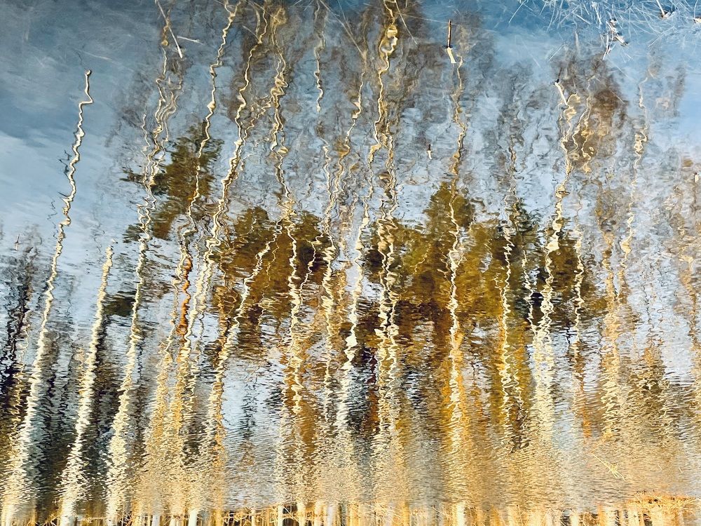 Photograph by Наталья Фиго