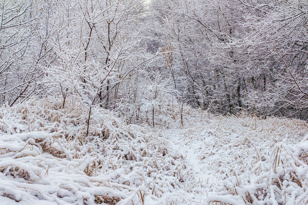 Как в зимнюю сказку..
