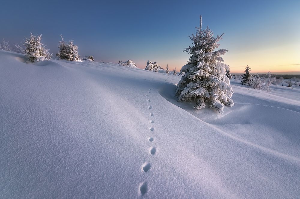 Photograph by Антон Кошетаров