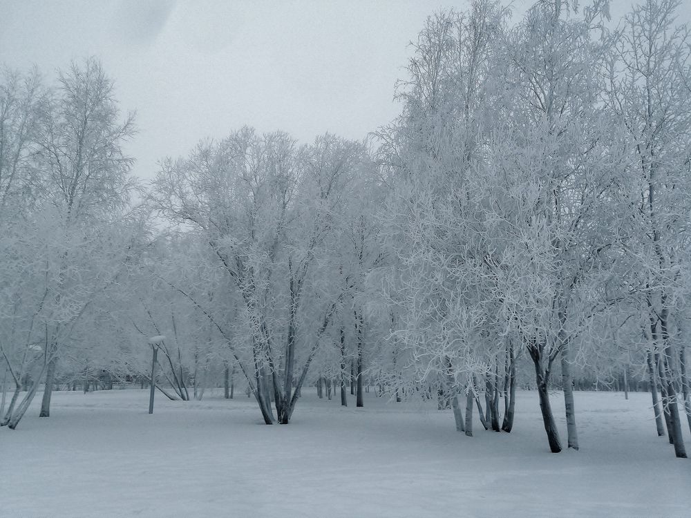 Photograph by Виталий Са