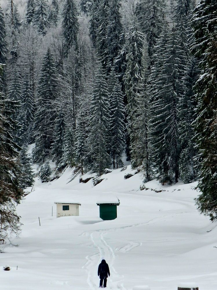 Photograph by Robert Suditu